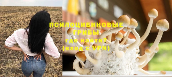 mix Арсеньев