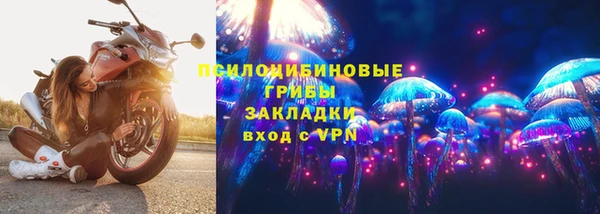 винт Аркадак