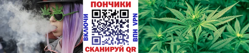 Бошки марихуана Bruce Banner  mega как войти  Тайшет 